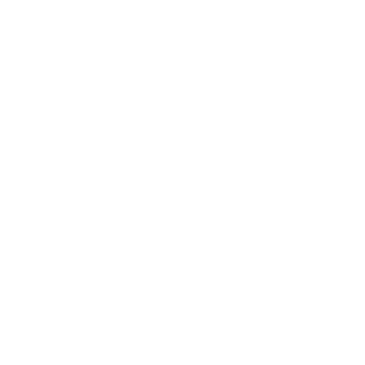 Expert Team